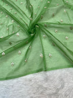 Designer Kora Organza With Elegant Applique Work & Scallop Border