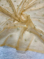 Designer Kora Organza With Elegant Applique Work & Scallop Border